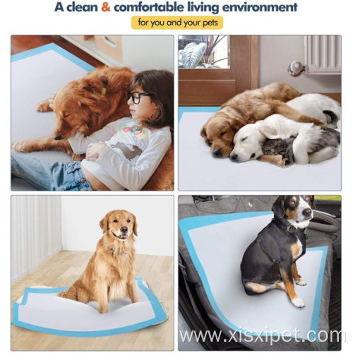 6-Layer Ultra Absorbent Pee Pads Dogs 30 Counts